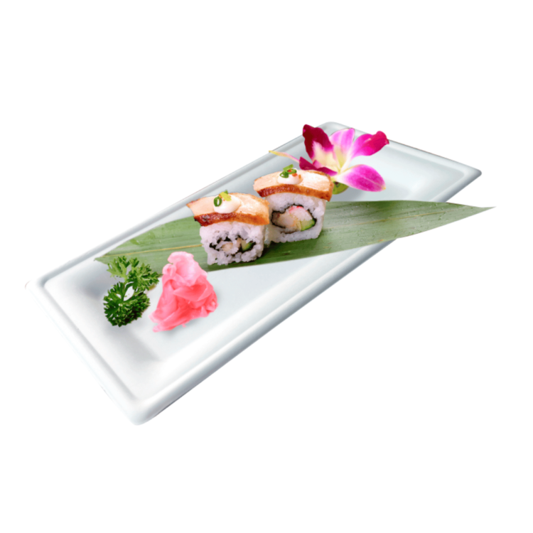 PLATO RECTANGULAR DE CAÑA DE AZUCAR 260x130mm